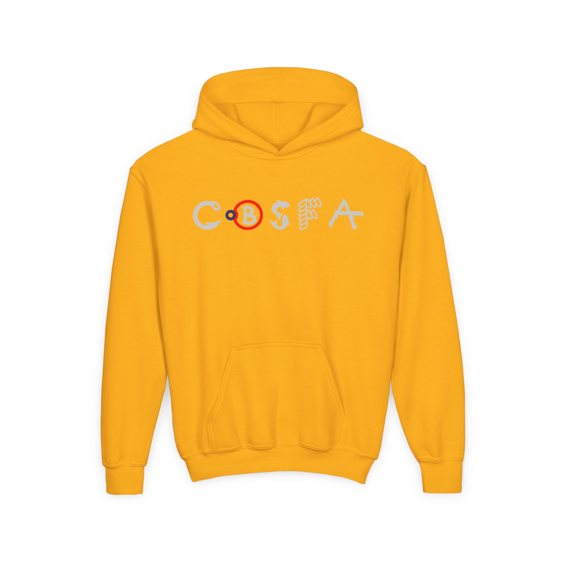 CBSFA/Chagix Youth Heavy Blend Hooded Sweatshirt